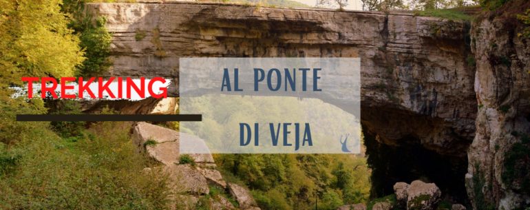 Ponte di Veja