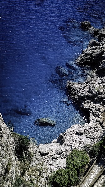 mare