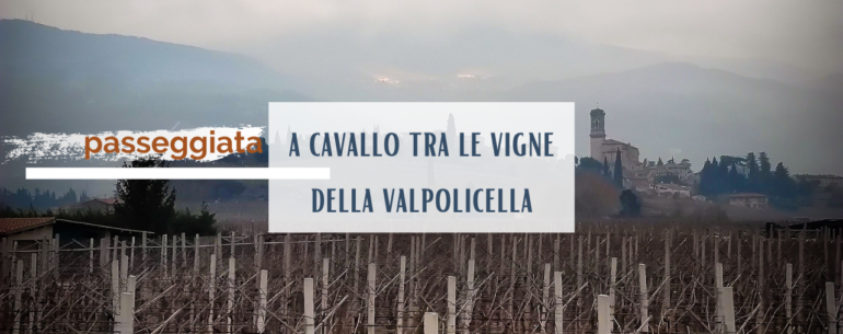 Passeggiata a cavallo tra le vigne della Valpolicella