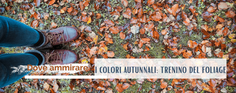 FOLIAGE AUTUNNALE