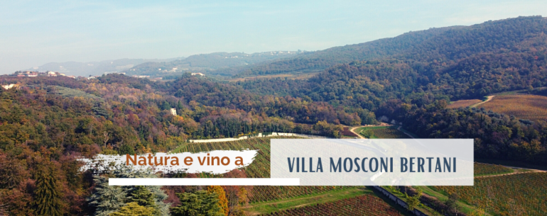 Villa Mosconi Bertani